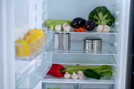 Холодильник и морозильная камера: советы по выбору и эксплуатации